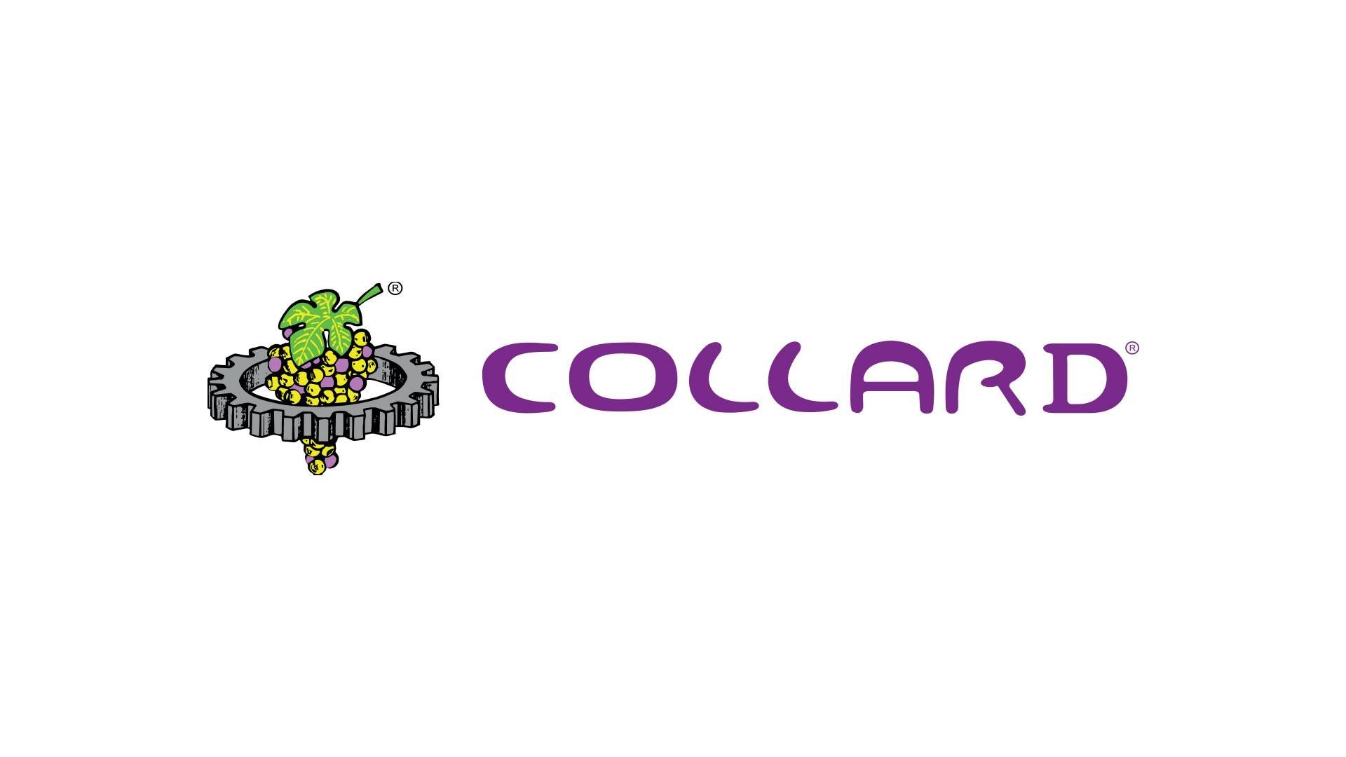 Collard Logo